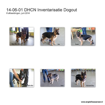 DHCN Inventarisatie Dogout Heerhugowaard